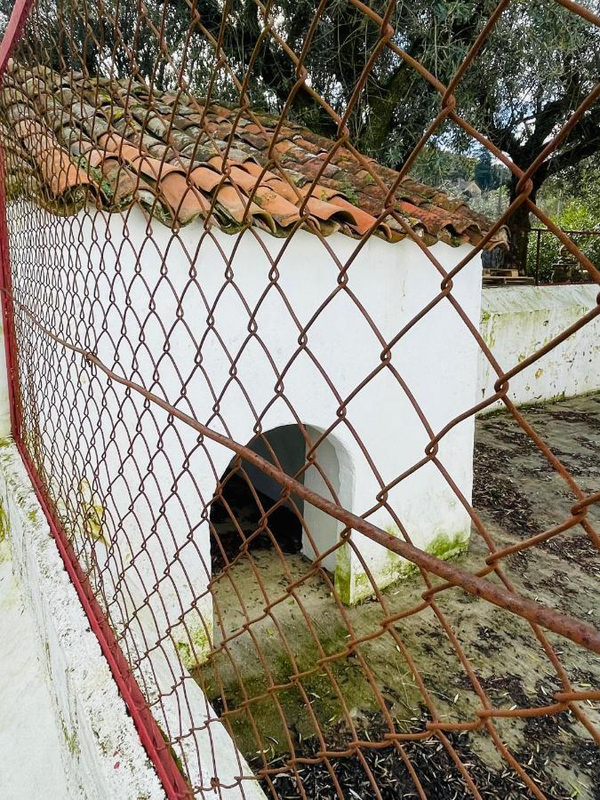 Hostal Casa Do Martinho Castelo de Vide Exterior foto